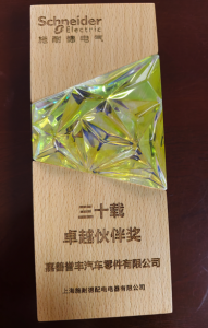 卓越同伴奖